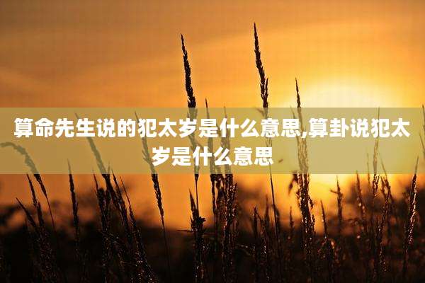 算命先生说的犯太岁是什么意思,算卦说犯太岁是什么意思