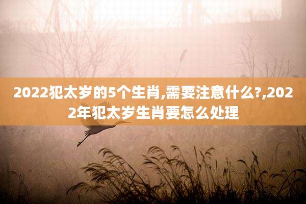 2022犯太岁的5个生肖,需要注意什么?,2022年犯太岁生肖要怎么处理