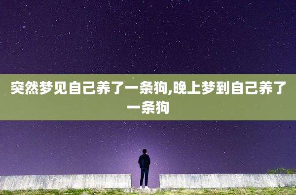 突然梦见自己养了一条狗,晚上梦到自己养了一条狗