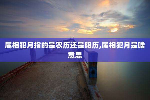 属相犯月指的是农历还是阳历,属相犯月是啥意思