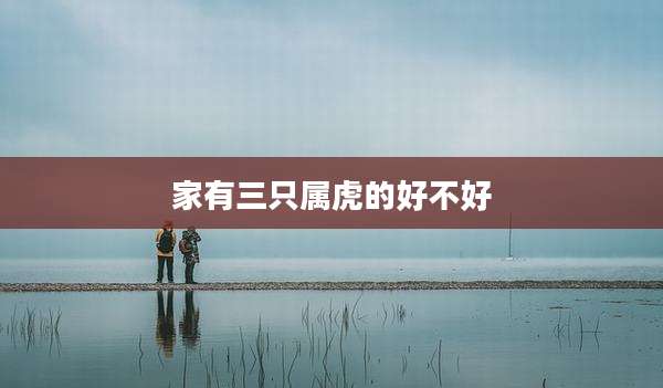 家有三只属虎的好不好