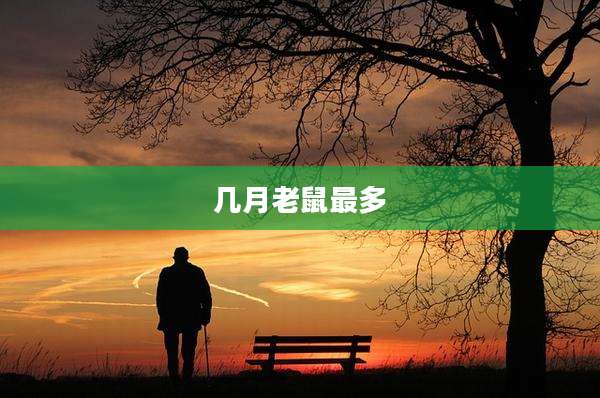 几月老鼠最多