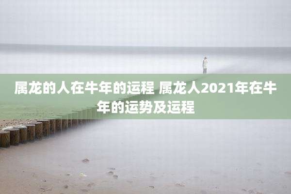 属龙的人在牛年的运程 属龙人2021年在牛年的运势及运程