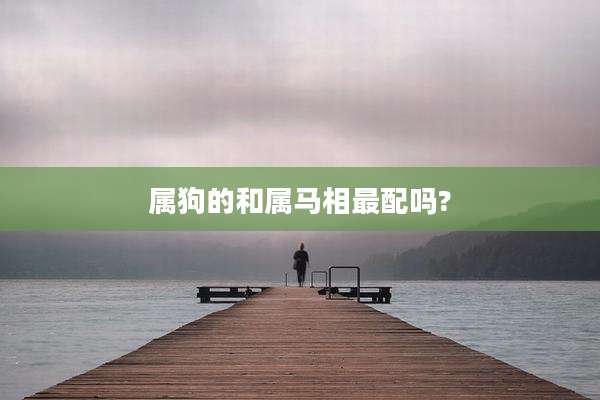 属狗的和属马相最配吗?