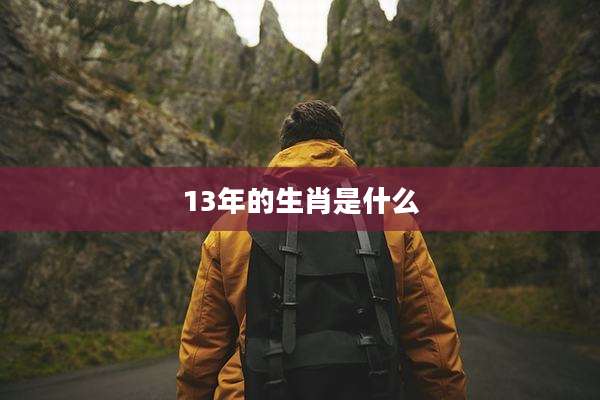 13年的生肖是什么