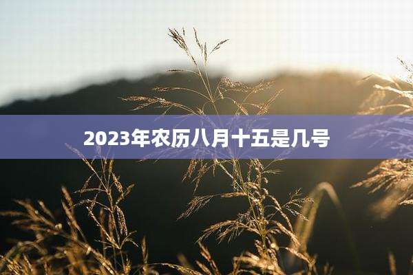 2023年农历八月十五是几号