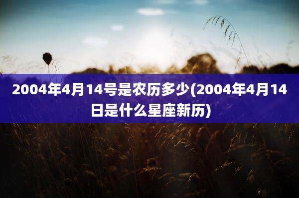 2004年4月14号是农历多少(2004年4月14日是什么星座新历)