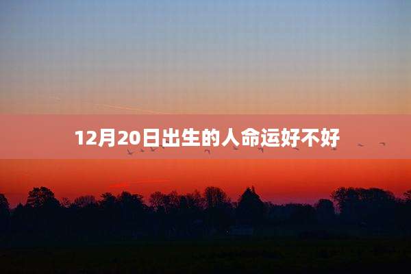 12月20日出生的人命运好不好