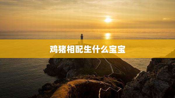 鸡猪相配生什么宝宝