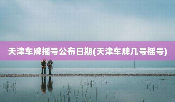 天津车牌摇号公布日期(天津车牌几号摇号)