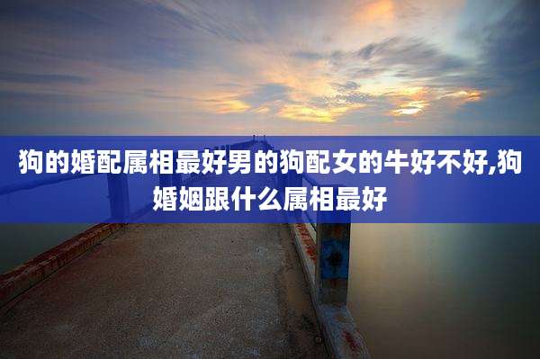 狗的婚配属相最好男的狗配女的牛好不好,狗婚姻跟什么属相最好