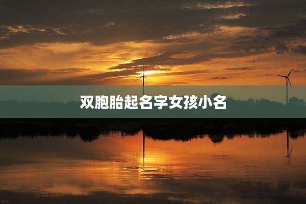 双胞胎起名字女孩小名