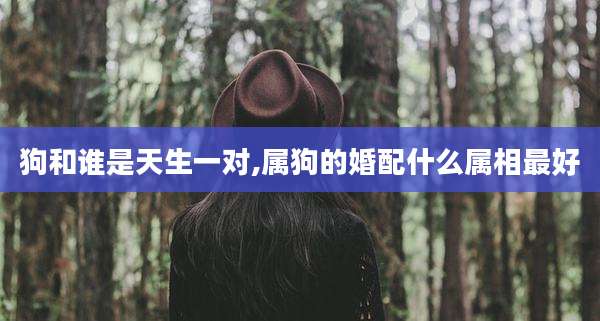 狗和谁是天生一对,属狗的婚配什么属相最好