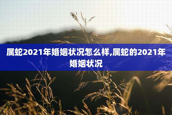 属蛇2021年婚姻状况怎么样,属蛇的2021年婚姻状况