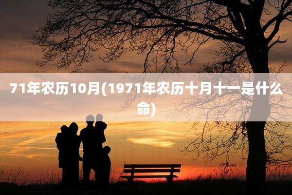 71年农历10月(1971年农历十月十一是什么命)