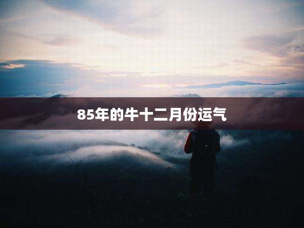 85年的牛十二月份运气