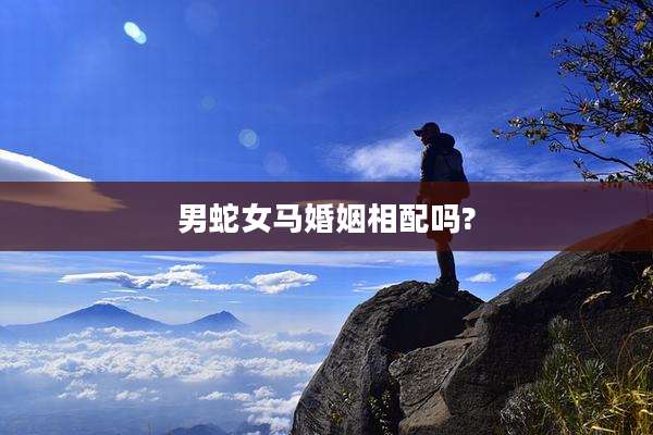 男蛇女马婚姻相配吗?