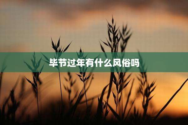 毕节过年有什么风俗吗