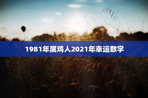 1981年属鸡人2021年幸运数字