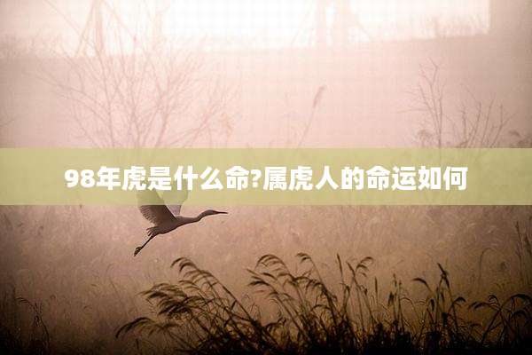 98年虎是什么命?属虎人的命运如何