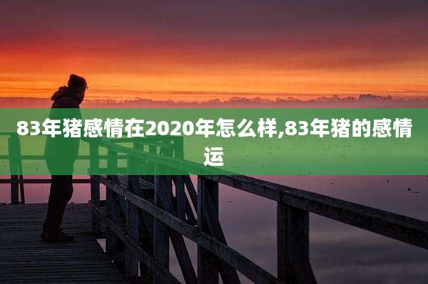 83年猪感情在2020年怎么样,83年猪的感情运