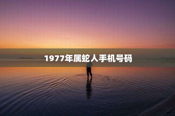 1977年属蛇人手机号码