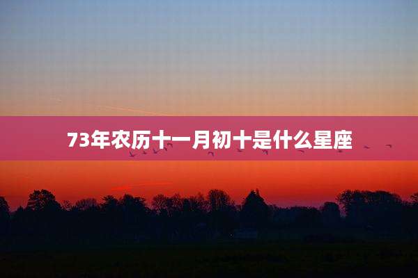 73年农历十一月初十是什么星座