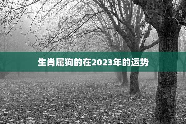 生肖属狗的在2023年的运势