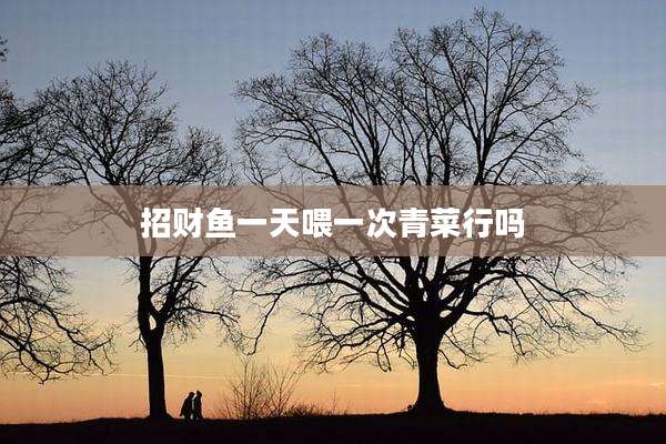 招财鱼一天喂一次青菜行吗