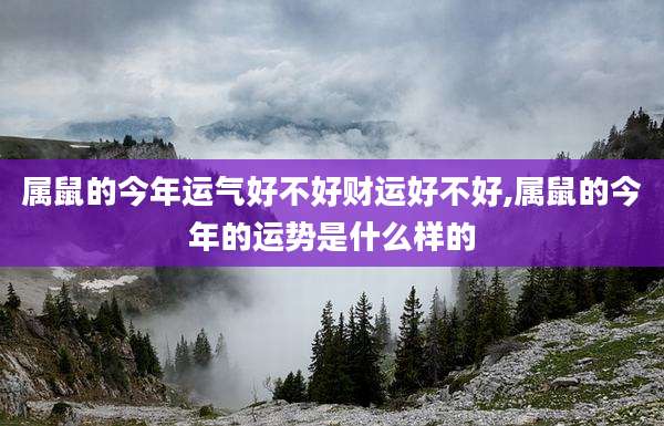 属鼠的今年运气好不好财运好不好,属鼠的今年的运势是什么样的