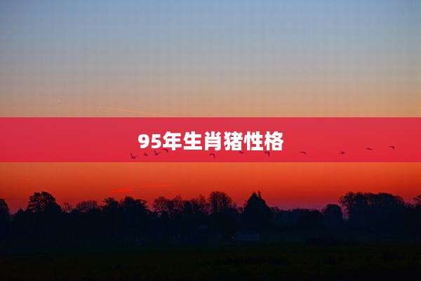 95年生肖猪性格