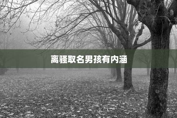 离骚取名男孩有内涵