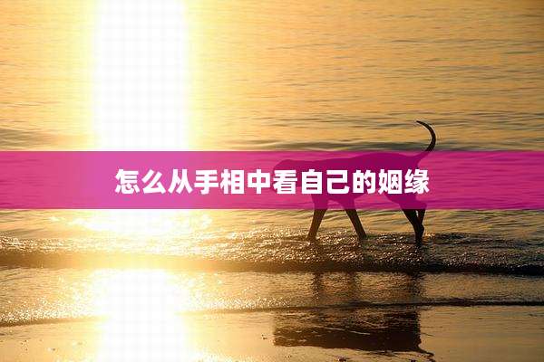 怎么从手相中看自己的姻缘