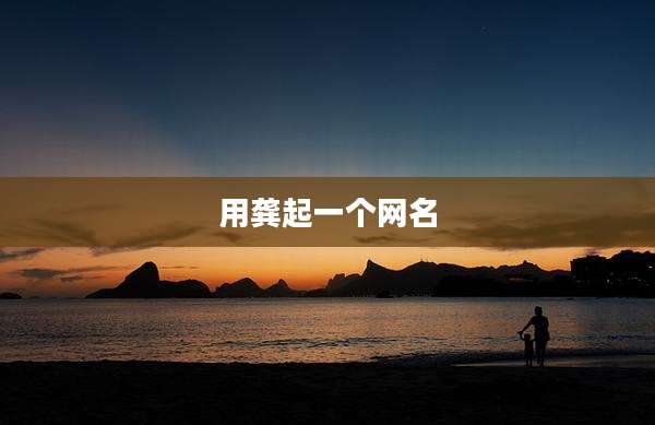 用龚起一个网名