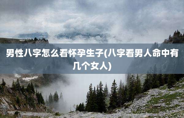 男性八字怎么看怀孕生子(八字看男人命中有几个女人)