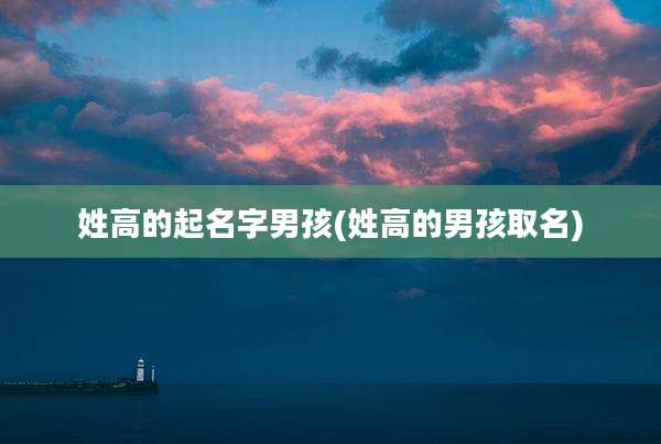 姓高的起名字男孩(姓高的男孩取名)