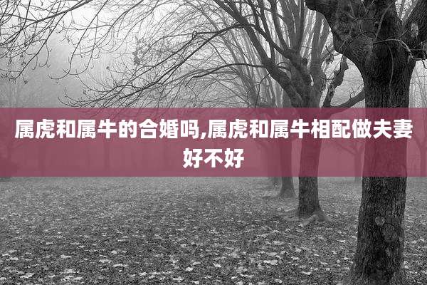属虎和属牛的合婚吗,属虎和属牛相配做夫妻好不好