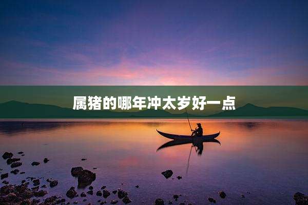 属猪的哪年冲太岁好一点