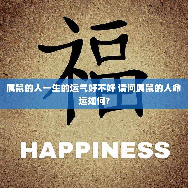 属鼠的人一生的运气好不好 请问属鼠的人命运如何?