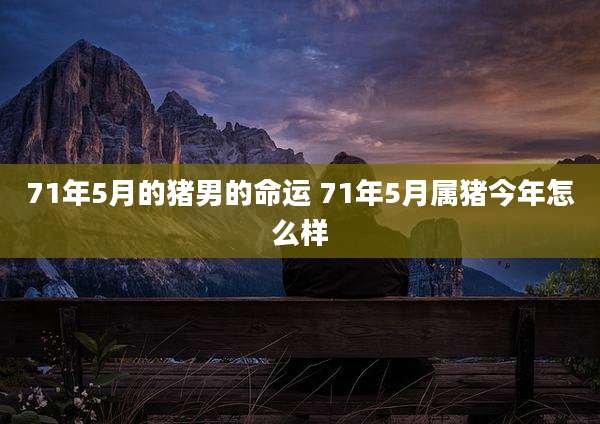 71年5月的猪男的命运 71年5月属猪今年怎么样