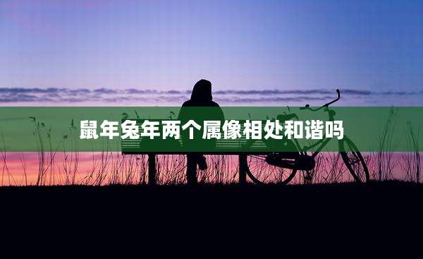 鼠年兔年两个属像相处和谐吗