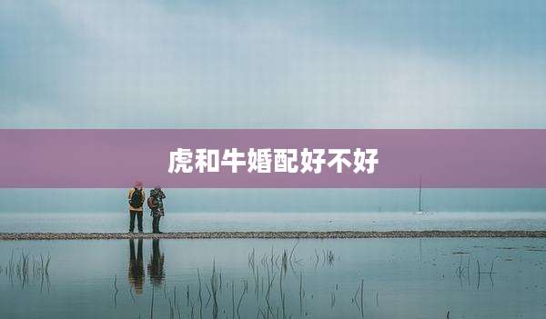 虎和牛婚配好不好