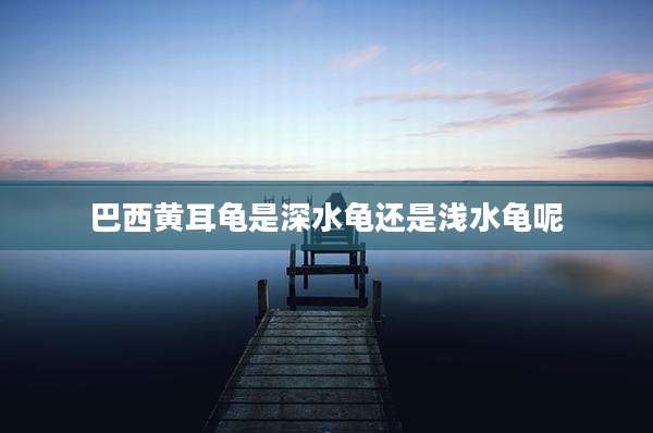 巴西黄耳龟是深水龟还是浅水龟呢