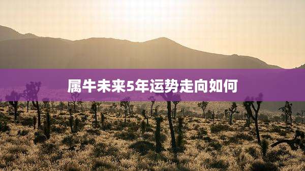 属牛未来5年运势走向如何