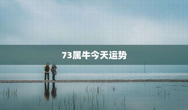 73属牛今天运势