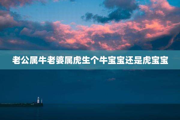 老公属牛老婆属虎生个牛宝宝还是虎宝宝