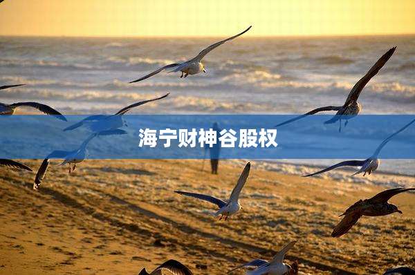 海宁财神谷股权