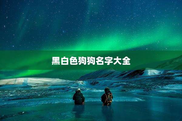 黑白色狗狗名字大全