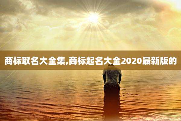 商标取名大全集,商标起名大全2020最新版的