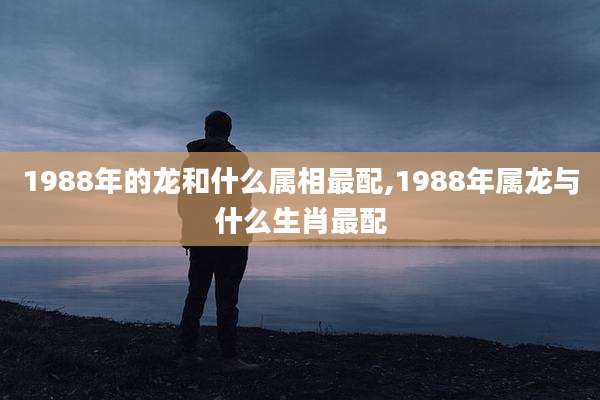 1988年的龙和什么属相最配,1988年属龙与什么生肖最配